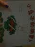 中川李枝子作品套装共三册（橘子+老大、老二和老三去钓鱼+小兔子的胡萝卜）  实拍图