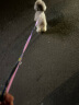 田诺宠物胸背带牵引绳狗狗拉带外出遛狗绳子链子中小型犬金毛泰迪用品 粉色  小号: 1.0cm(适合3~8斤) 实拍图