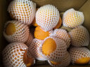 趣鲜语 云南高山沃柑 9斤净重 甜橘子桔子 时令新鲜水果 源头直发 实拍图