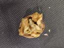 新疆核桃185纸皮薄皮核桃新货阿克苏核桃原味生孕妇小孩零食特产 薄皮核桃5斤【无任何添加】 实拍图