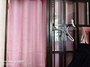 梦黛俪（mengdaili）免打孔窗帘成品全遮光卧室窗帘布带伸缩杆隔断帘门简易出租房浴室 粉色（含伸缩杆） 适用宽1.6-2.1米【窗帘高1.8米】 实拍图