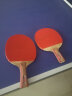 红双喜横直对拍乒乓球拍横直套装2拍1球Ⅱ型 实拍图