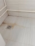 心居客瓷砖清洗剂地板清洁剂家用草酸地砖水泥划痕去污液浴室水垢清洁剂 3瓶装 实拍图