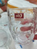 青苹果（QINGPINGGUO） 玻璃杯家用水杯套装透明泡茶杯饮料咖啡杯啤酒杯加厚带把牛奶杯 菠萝杯10只装 255ml 实拍图
