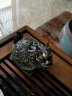 唐丰（TANGFENG）变色茶宠小摆件精品可养茶虫创意龟茶玩新中式茶桌上的茶具配件 变色灵龟 晒单实拍图