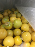 辰实【现货】云南菇娘果新鲜 黄姑娘果 灯笼果菇凉果 1斤 实拍图