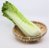 桃西村正宗河北玉田二包尖白菜新鲜御菜大白菜当季露天白菜农家种植蔬菜 4100g  普通装 实拍图