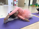 艾舞戈儿童舞蹈服女童练功服夏季可爱蓬蓬纱裙公主芭蕾舞裙幼儿演出服装 【亮片蝴蝶-四层纱】藕粉-长袖 130 实拍图