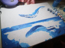 墨斗鱼DIY数字油画蓝鲸40*50cm客厅填充手绘画画填色手工油彩画装饰画 实拍图