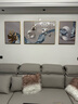 宜巢客厅装饰画晶瓷画现代简约批发沙发背景墙壁画轻奢镶钻三联挂画 逸彩 两边50*70中间100*70镶钻面 实拍图
