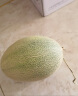 西州蜜瓜 哈密瓜 4粒原箱装 单果1.25kg起  新鲜水果 实拍图