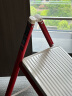 杜邦（DUPONT） 梯子家用人字梯折叠梯凳多功能登高台阶小步梯 三步花架梯【红色】 实拍图