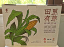 田里有草东北甜糯黄玉米非转基因低脂早餐代餐黄糯玉米粗粮真空袋装 【家庭装】黄玉米200g*12根2400g 1箱 实拍图