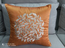 米乐 轻奢刺绣抱枕靠垫布艺沙发靠枕床头办公室护腰靠背汽车腰枕 浅灰(圆圈花刺绣) 45cm*45cm 枕套 实拍图
