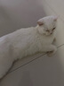 派乐特 猫窝狗窝保暖冬季秋天宠物猫咪毯垫子睡袋 灰色L+头枕 实拍图