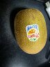 佳沛（zespri）新西兰阳光金奇异果10粒礼盒巨大果单果约146-175g水果猕猴桃 实拍图