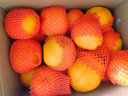 京鲜生 四川春见耙耙柑 5kg礼盒装 单果240g起  生鲜水果 水果礼盒 实拍图