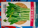 花语笙默四季播种蔬菜种子家庭种菜盆栽田园地栽菜种易种植易生长瓜果菜籽 四九菜心种子（约1500粒） 原厂封装1袋 实拍图