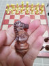 友邦 友邦（UB）国际象棋儿童成人西洋木塑带磁性可折叠培训教学套装 3020L(L号) 实拍图