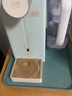 康丰（KANGFENG） 创意托盘家用放茶杯长方形杯子水杯茶盘ins风茶杯盘杯盘拖盘塑料 森林绿-大号 实拍图