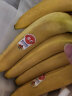 佳农 进口大把香蕉1.2kg装 家庭装 生鲜水果 源头直发 一件包邮 晒单实拍图