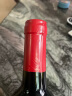 洛神山庄（Rawsons Retreat）奔富洛神 1845赤霞珠干红葡萄酒 原瓶进口 整箱红酒 澳洲原瓶进口 澳洲产区单支（随机品种） 实拍图
