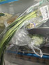 京鲜生 青蒜 蒜苗 250g 简装 新鲜蔬菜 实拍图