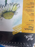 蒙玛特(Mont Marte)文具50页素描本 A4素描纸加厚速写本铅笔炭笔绘画纸美术临摹素描本线圈速写画纸MSB0085C美术写生 实拍图