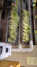 湿美（MSSHIMEI） 工业超声波加湿器雾化消毒超市火锅水果蔬菜加湿机车间仓库实验室养殖空气增湿器 SM-06B单管 晒单实拍图
