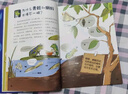 漫画动物妙想国 套装全4册（动物百科科普漫画哺乳动物水族世界飞鸟家族恐龙王国) 实拍图