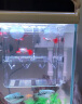 亲卫鱼缸孵化盒孔雀鱼繁殖盒斗鱼亚克力隔离盒热带鱼产卵小鱼鱼宝宝 晒单实拍图