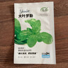 寿禾 罗勒种子蔬菜九层塔阳台四季食用冬春季香草植物种籽 罗勒种子  1g（约1000粒） 实拍图
