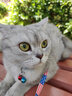 养只宠物（YOUNGER PET）猫咪狗狗脖圈跳蚤圈体外驱用品宠物狗猫咪项圈猫狗跳蚤虱子用品 猫用项圈【长27CM】（1个装） 猫用 实拍图