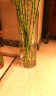 豪斯特丽（HOSTLY）直筒透明玻璃花瓶 特大号客厅摆件 富贵竹玫瑰百合插花平光花瓶 直径15高30 实拍图