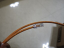 PANDUIT 泛达超六类细网线CAT6A类跳线家用电脑宽带POE监控万兆高速成品线 赤茶橘 1米 实拍图