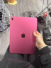 Apple/苹果【教育优惠】iPad 10.9英寸 2022款(64GB WLAN版/A14芯片/学习办公娱乐/MPQ33CH/A)粉色 实拍图