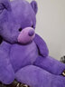 乐怡萱毛绒玩具泰迪熊大熊猫公仔布娃娃熊玩偶抱抱枕熊送女友圣诞节礼物 薰衣草紫熊 1.2米（+玫瑰花） 实拍图