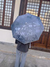 逗趣家全自动雨伞男女学生遮阳伞大号晴雨两用防晒紫外线便携折叠太阳伞 碧莲轻舞三折黑胶自动款 8骨 户外加固防风男士商务折叠伞 实拍图