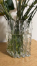 京东鲜花 冰川极冻花瓶 摆件客厅插花玻璃透明轻奢高级感水养玫瑰鲜花 实拍图