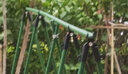九千谷 藤蔓植物攀爬架园艺爬藤支架月季蔷薇植物爬藤杆 管径11mm7086 实拍图