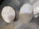 百世富泽（BAISHIFUZE）【百世富泽】黄河滩大鹅蛋新鲜正宗土鹅蛋农家自养孕妇超大鹅蛋 12枚115-130克 实拍图
