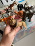 弥鹿（MiDeer）动物模型儿童仿真玩具宝宝礼物水陆野生动物园动物大套装-15pcs 晒单实拍图