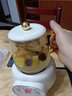 龙兴发养生壶办公室小型烧水壶保温一体养生玻璃花茶壶家用多功能恒温壶 预约底座+条纹单壶（无礼盒 0.6L 实拍图