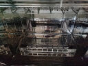康宝（Canbo）消毒柜家用不锈钢小型立式 二星高温厨房餐具婴儿奶瓶碗筷子烘干双门80L三层收纳消毒碗柜XDZ80-D1 实拍图