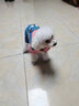 憨憨宠宠物狗狗衣服 狗衣服中小型犬泰迪衣服冬季加绒加厚背带裤猫衣服 黄色背带裤S号推荐4-6斤宠物 实拍图