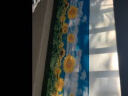 向日葵海报太阳花壁画向阳花贴纸墙贴家居装饰画植物花卉风景挂画 V93 40*60厘米-背胶 晒单实拍图