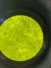 凤凰（Phenix）专业生物显微镜PH100-3A41L-PL高清医学实验室血液螨虫细菌活精 推荐2高配+630万像素摄像头USB3.0接电脑 晒单实拍图