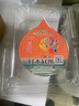 片言片鱼【活鲜】千岛湖 清水鳖 甲鱼王八 3龄公鳖500g 1只 源头直发 包邮 实拍图