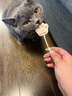 优基猫零食冻干猫爪棒幼猫成猫通用猫咪洁牙棒训练奖励鸡肉味棒棒糖 鸡肉味 3包*3.5g 实拍图