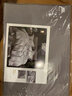 然牌 防钻绒系列 白鸭毛羽毛被芯 冬季保暖被 约7斤 200x230cm 咖色 实拍图